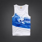 regata hollister
