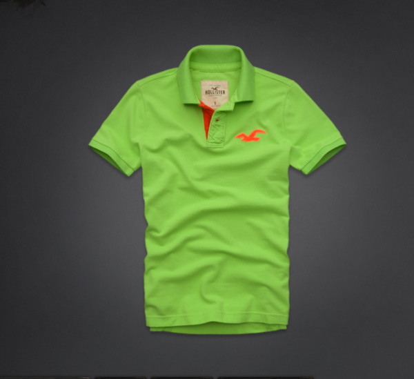 polo hollister