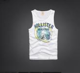 regata hollister