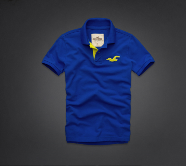 polo hollister