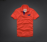 polo hollister